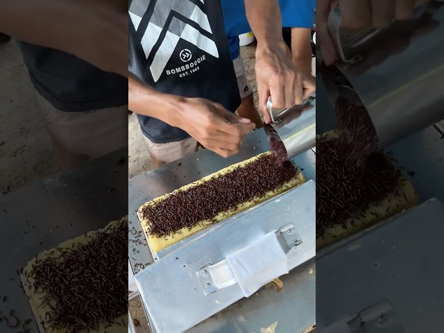Amazing Chocolate Sprinkles Cake Making in Indonesia