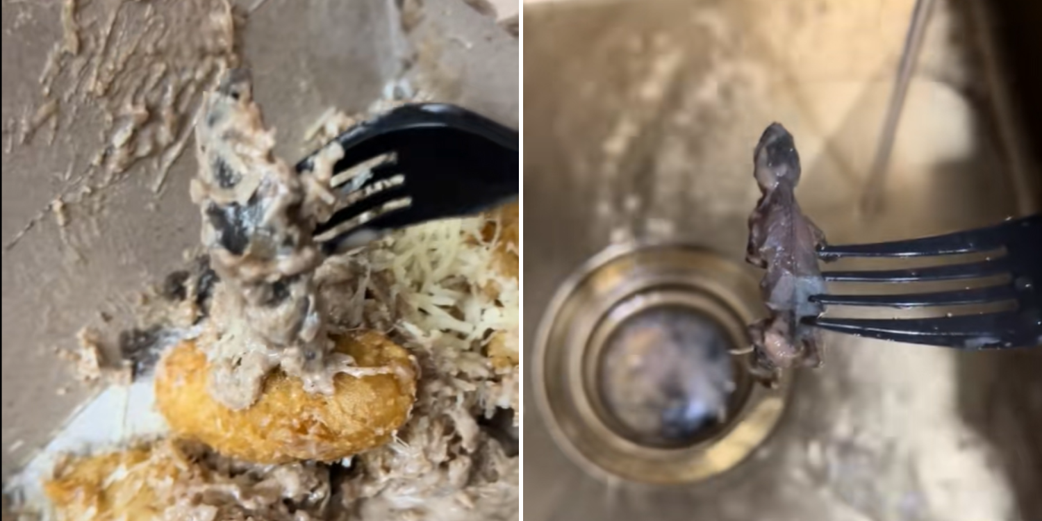 Woman in M’sia finds lizard in goreng pisang tiramisu, family allegedly suffers food poisoning