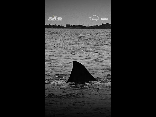Discover the history of Jaws from the filmmakers it inspired