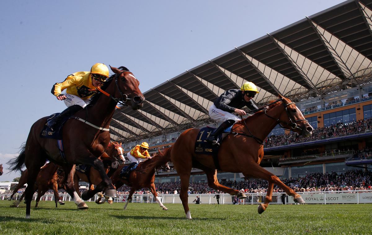 Horseracing-Automatic betting terminals leave Ascot bookies all a flutter