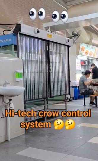 Are Hawker Centres Starting To Use High-Tech Methods To Stop Birds From Stealing Food Scraps?