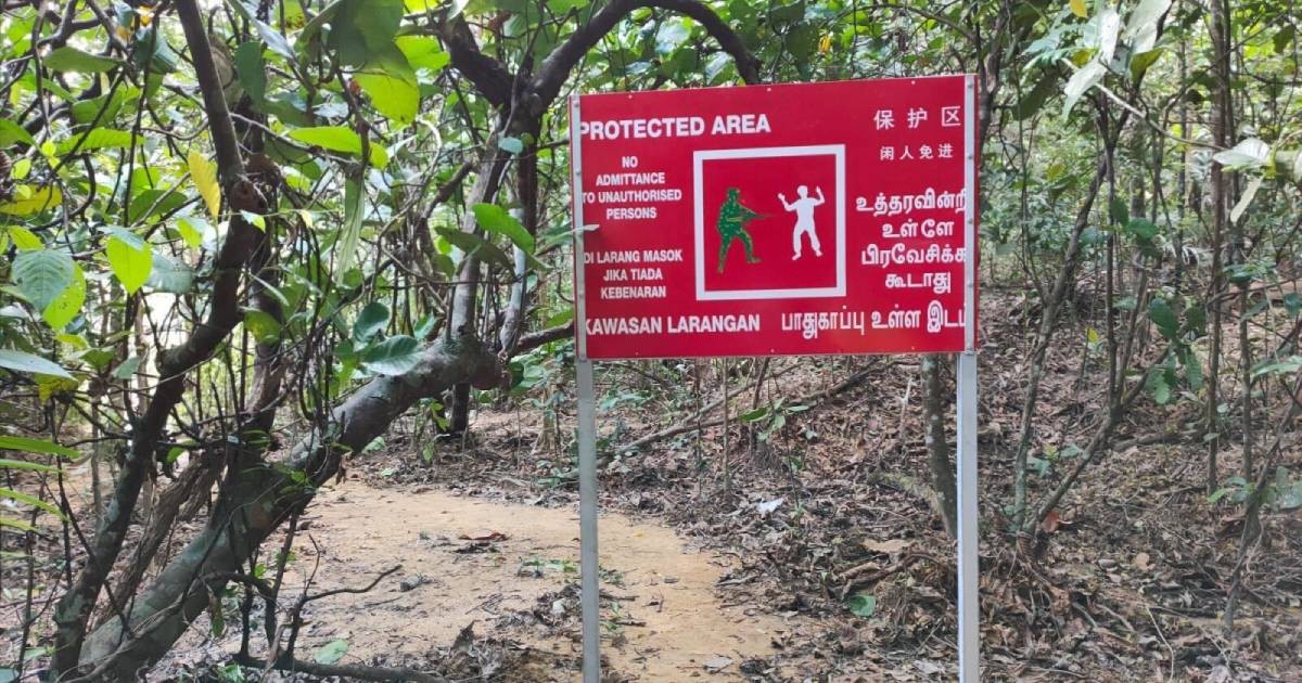 Man hit by bullet near Nee Soon range: Safety protocols adhered to during live firing, says Mindef