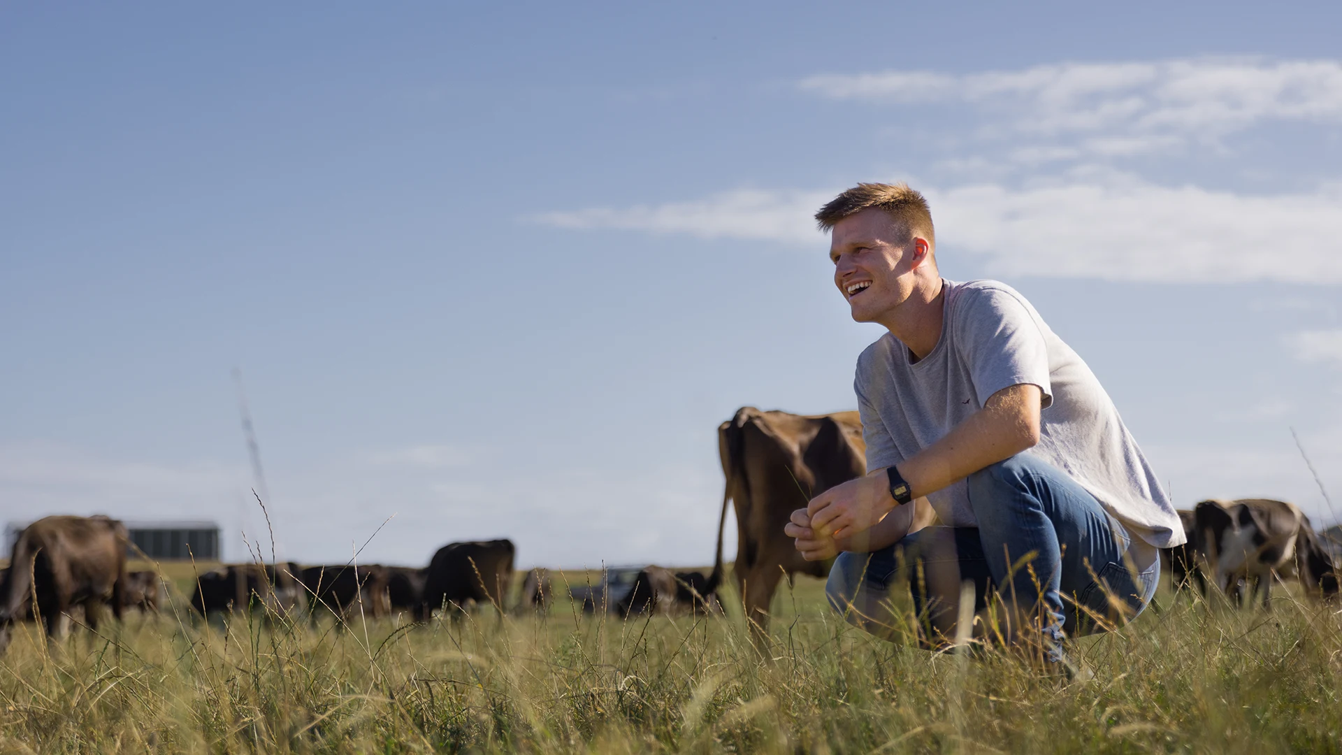 NZ cow tech firm Halter nets $165m series D, hits $1b value