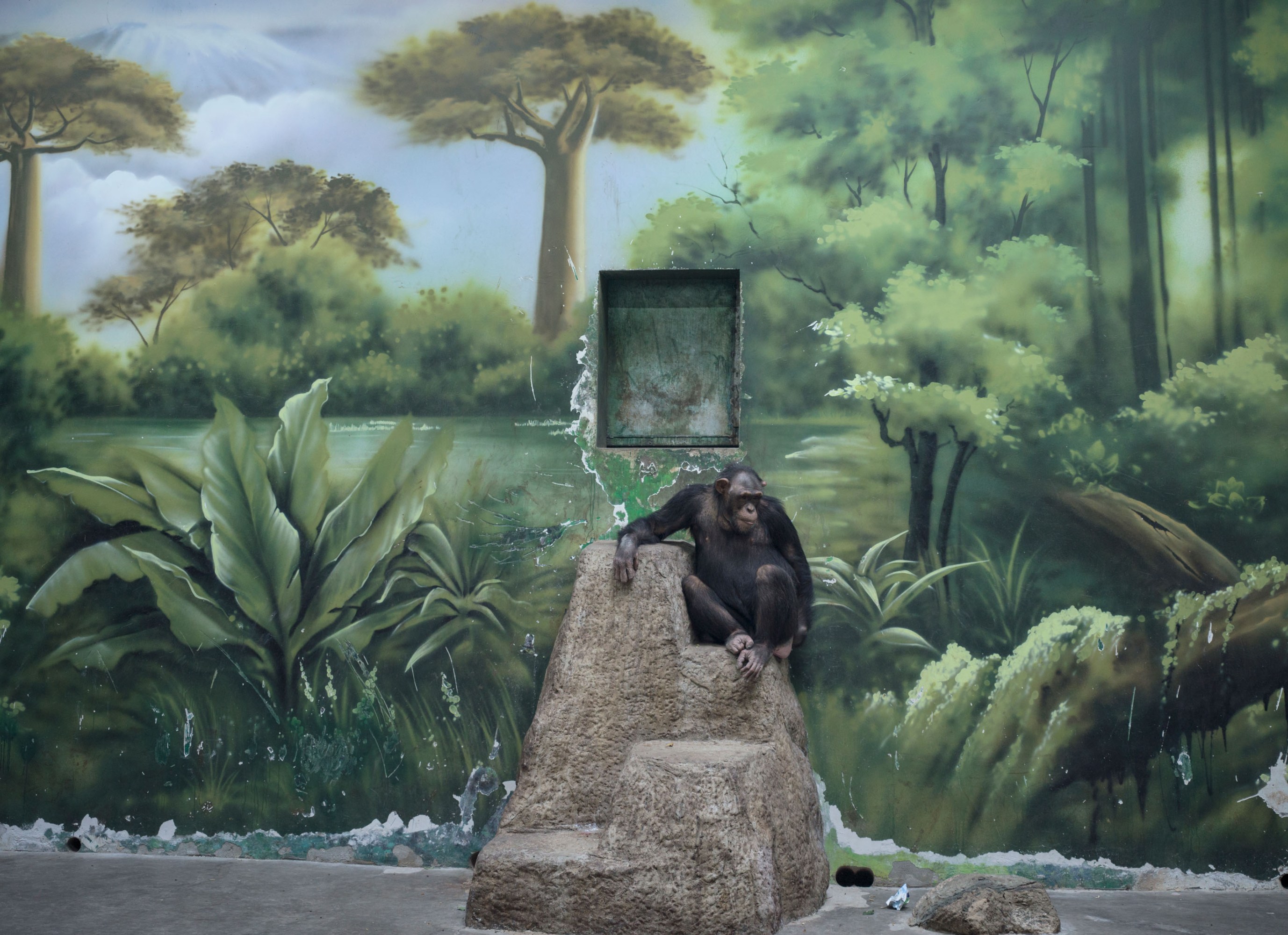 The Anthropocene illusion