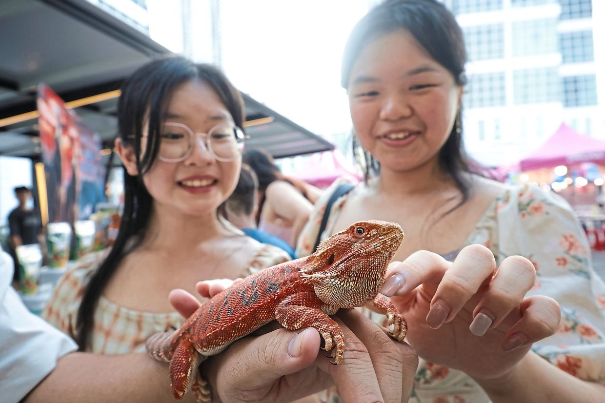Pets on parade at bazaar