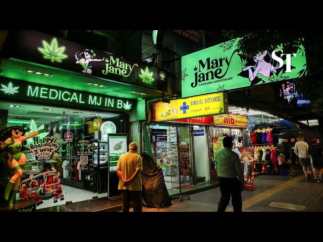 Thailand moves to recriminalise cannabis, shaking US$1 billion industry
