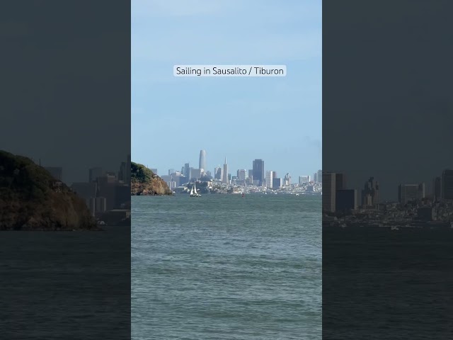let me help you find fun things to do in San Francisco #summeronshorts
