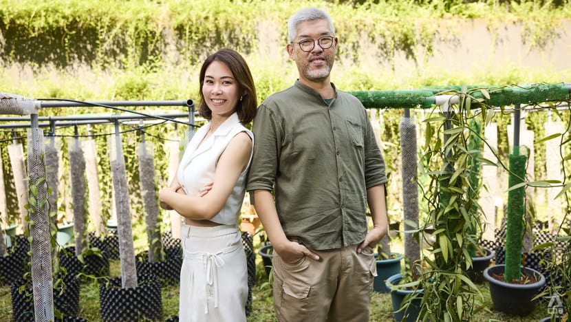 How these vanilla farmers in Singapore took their plants from HDB corridors to luxury hotels