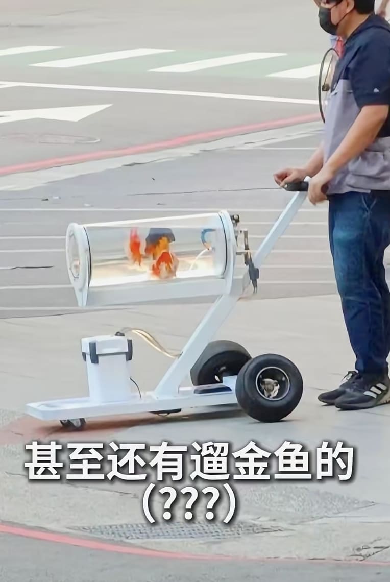 Unusual Pets Like Meerkats, Snakes, Monitor Lizards & More Spotted Going On Walks In Taiwan Park
