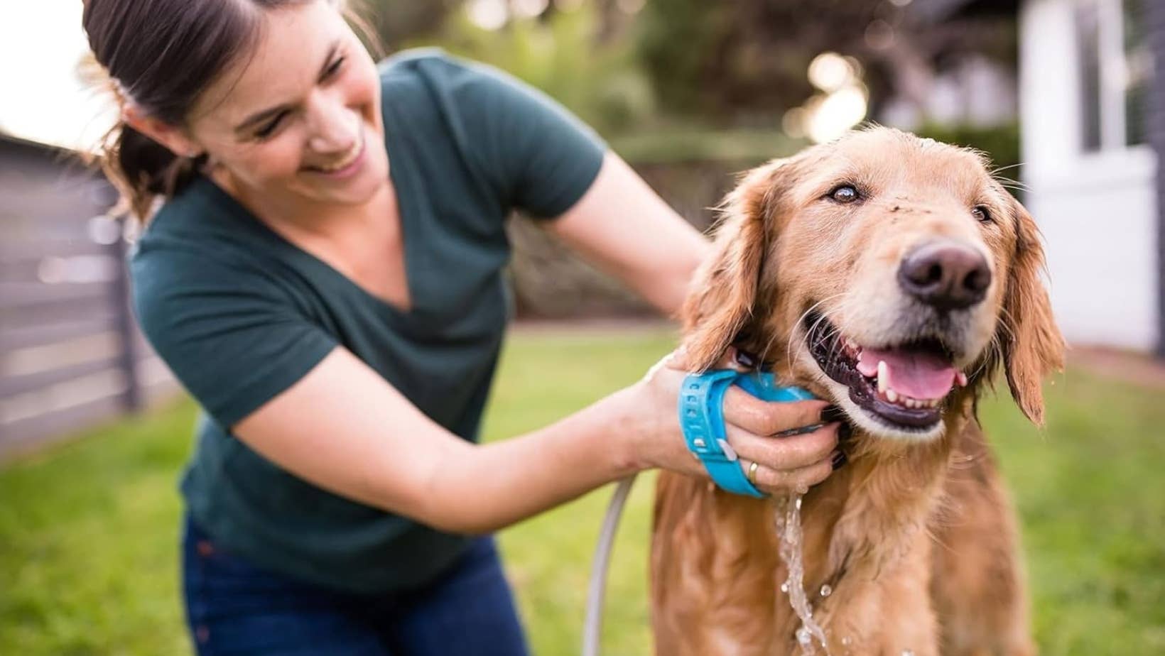 Make Your Dog’s Bath Time Less Ruff With This ‘Game Changer’ Shower Attachment