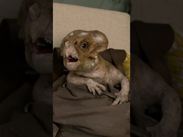 Yee (Dolores’ Version) #FallonTonight #JurassicWorldRebirth #JurassicPark #JimmyFallon