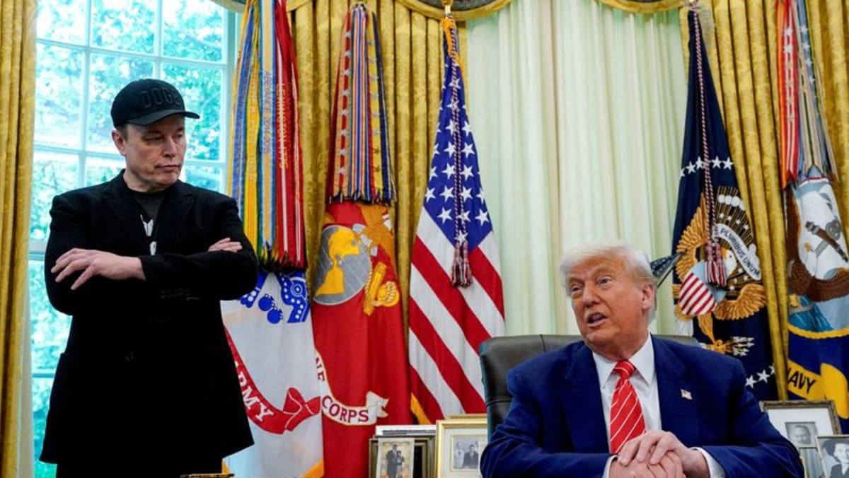 Trump suggests DOGE look at Musk's companies to save money