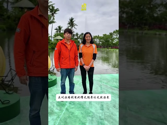 来看看台湾黄金蚬的故乡～#动新闻 #黄金蚬 #花莲立川渔场 #天然涌泉 #休闲渔场