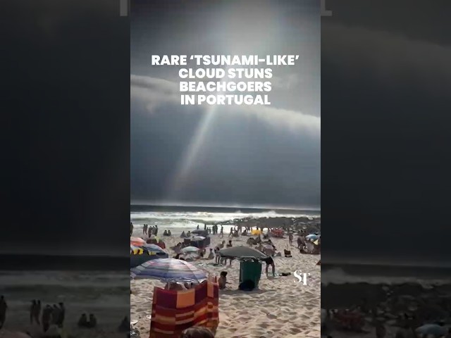 ‘Tsunami-like’ roll cloud in Portugal stuns beachgoers