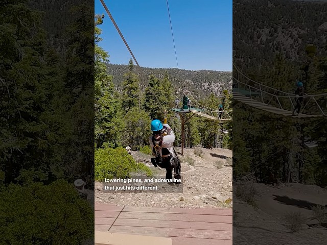 Zipline through Big Bear this 4th of July #lostin #travel #bigbear #zipline