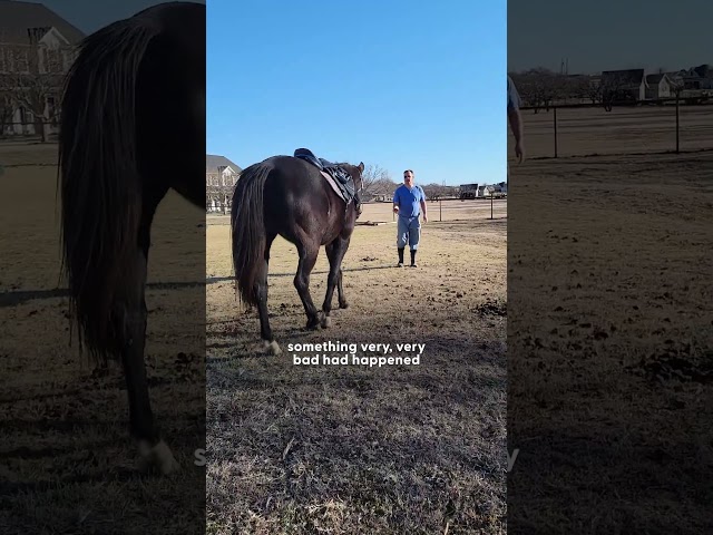 Horse Saves His Mom's Life When She Falls Off Of Him | The Dodo