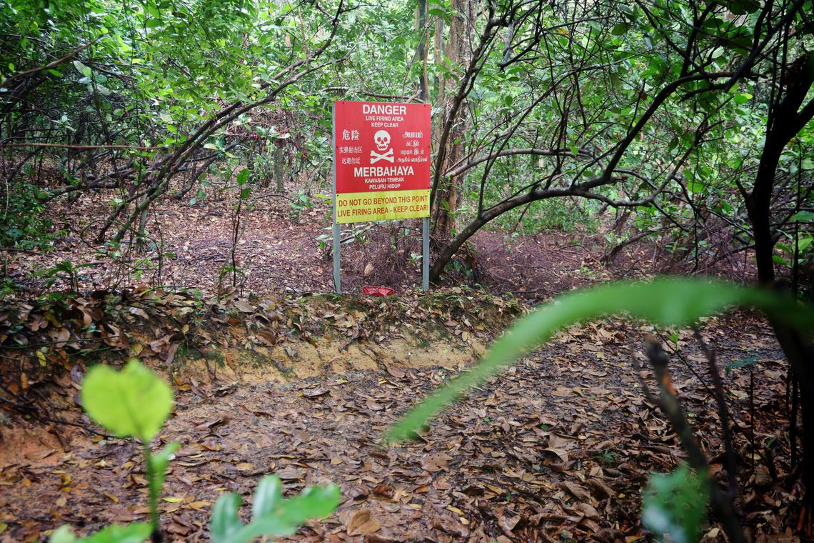 Fewer people caught venturing off designated trails in nature spaces: NParks