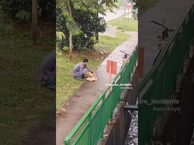 Go find a shelter and eat lah Bro 😑