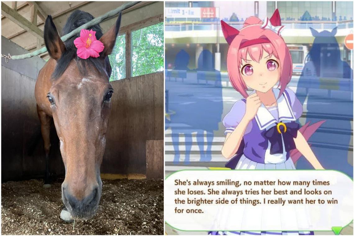 Japanese racehorse famed for losing all her races sees surge in popularity after mobile game launch
