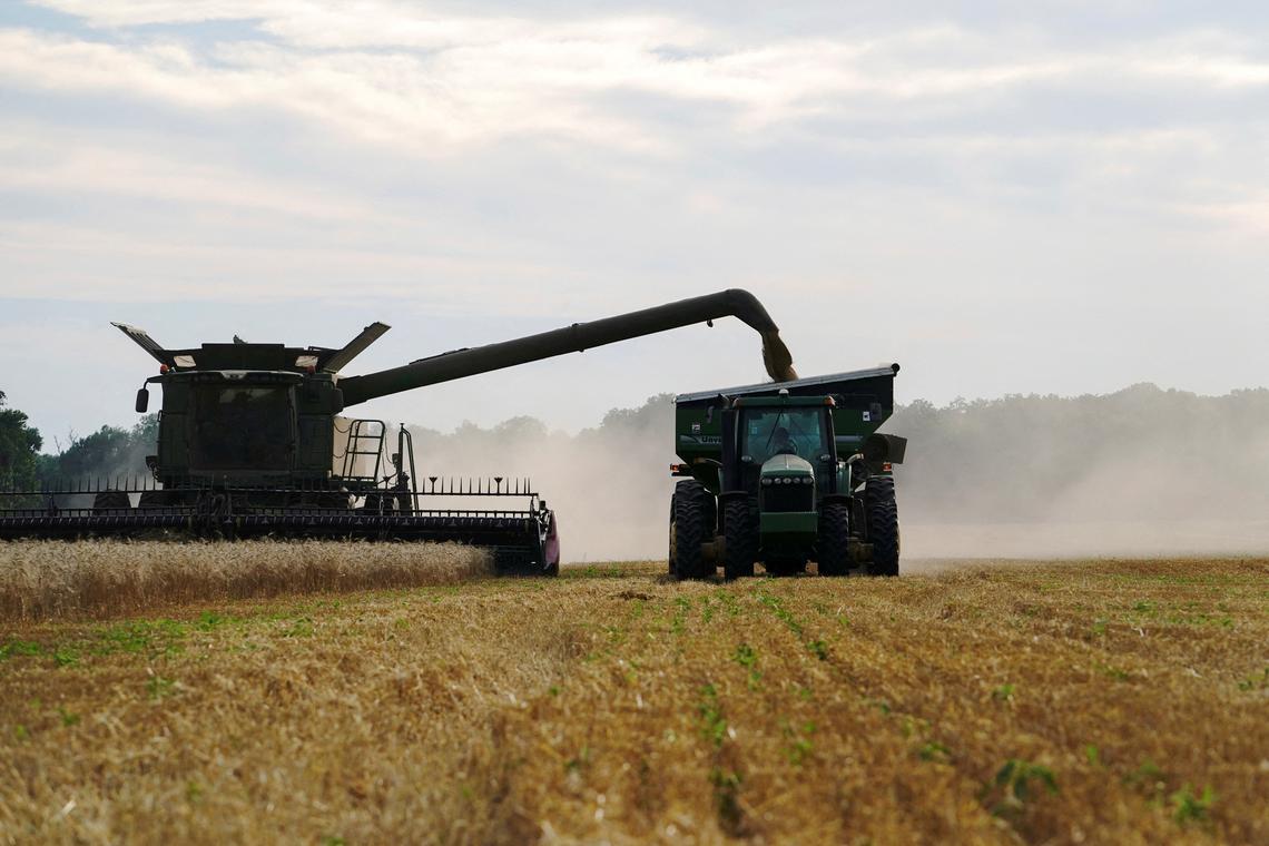 Indonesia pledges to buy more US wheat in bid for trade deal