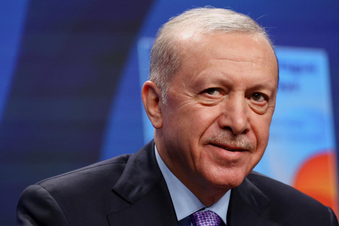 Turkey blocks X's Grok content for alleged insults to Erdogan, religious values