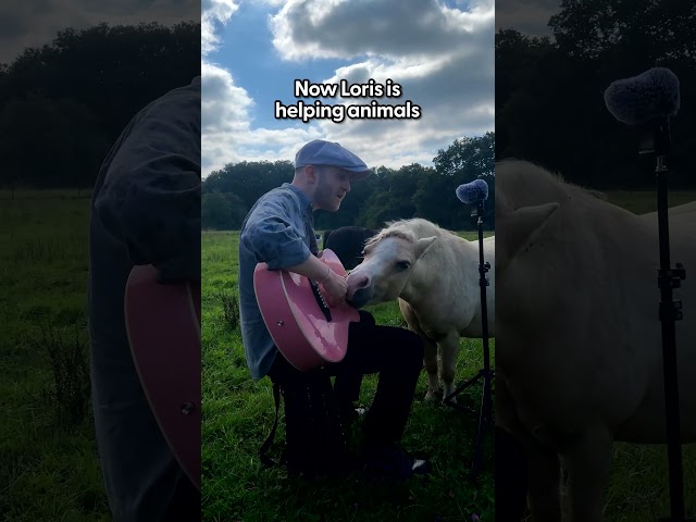Guy Sings His Heart Out To Animals Everywhere He Goes | The Dodo