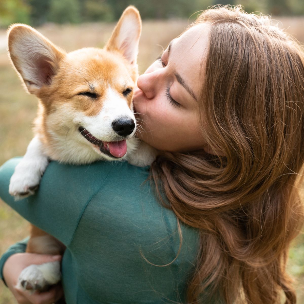 Meow and Woof Worthy: The Best Amazon Prime Day Pet Deals to Shop Now