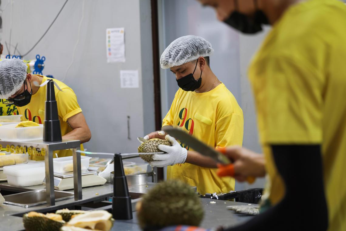 The rise of Tupai King, the rage of weather: How durian season is changing
