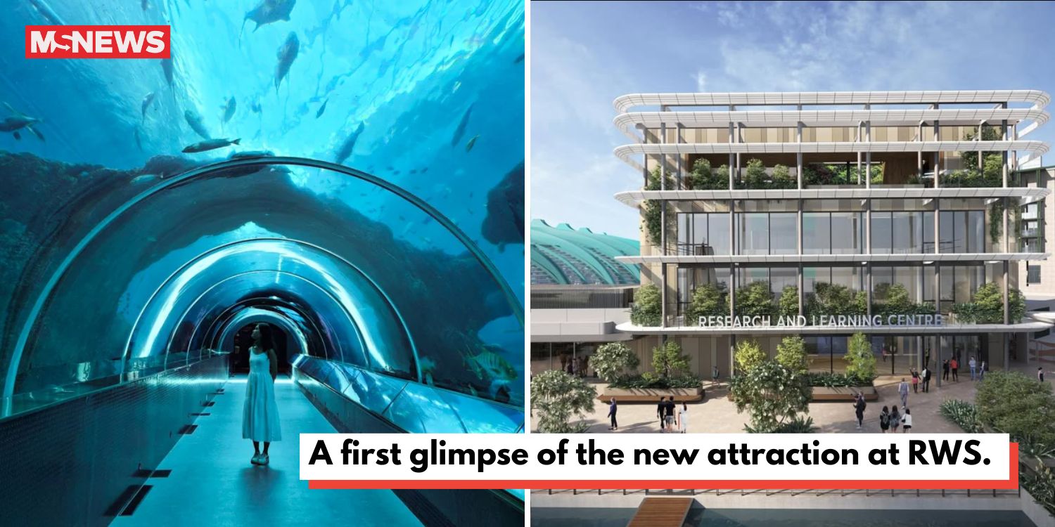 An inside look at the Singapore oceanarium, formerly the sea aquarium