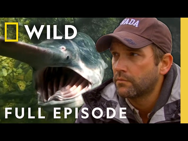 Paddlefish: American Behemoth (Full Episode) | Monster Fish | Nat Geo Animals