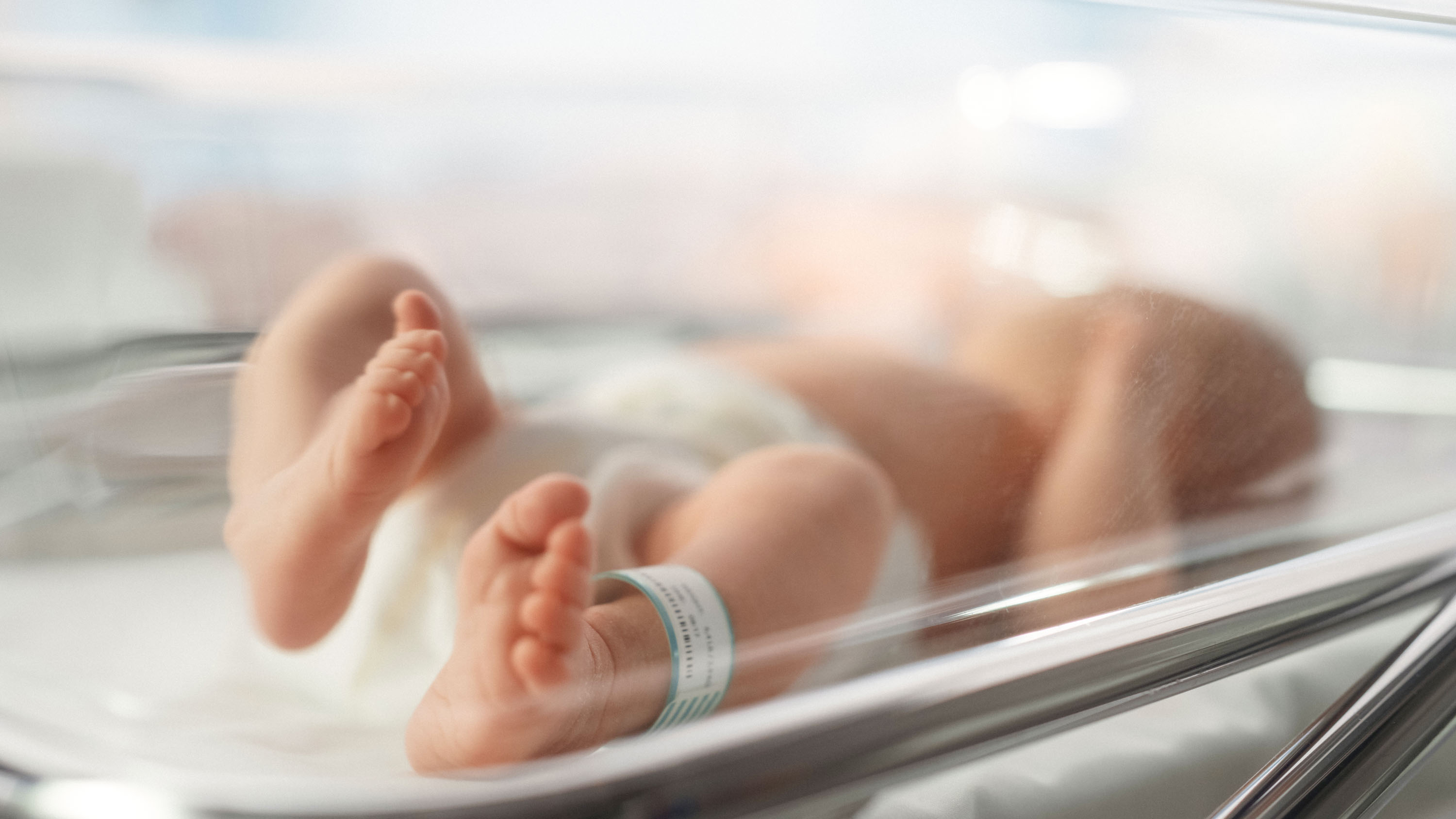 A brief history of “three-parent babies”