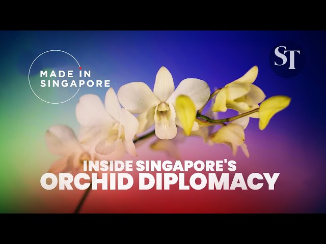 Inside Singapore’s Orchid Diplomacy | Made in Singapore