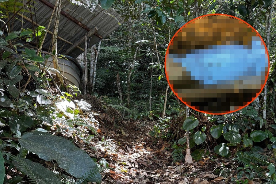 Step-siblings under probe after newborn found buried in Cameron Highlands