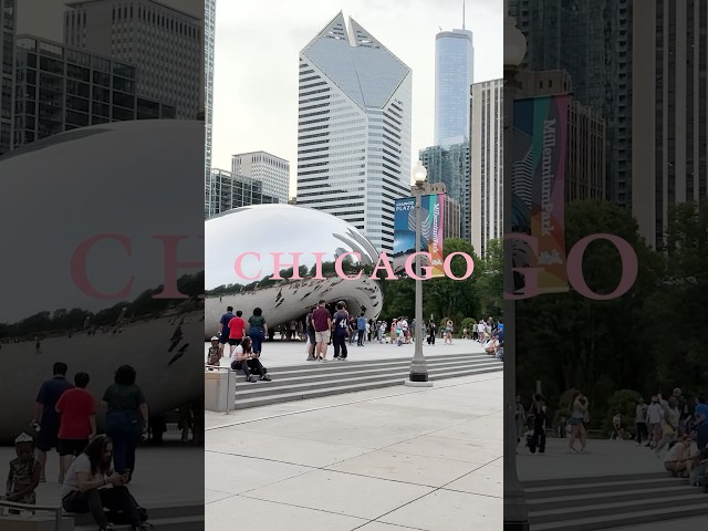 BLACKPINK WORLD TOUR [DEADLINE] IN CHICAGO ✨ #BLACKPINK #WORLDTOUR #DEADLINE #DEADLINE_IN_CHICAGO