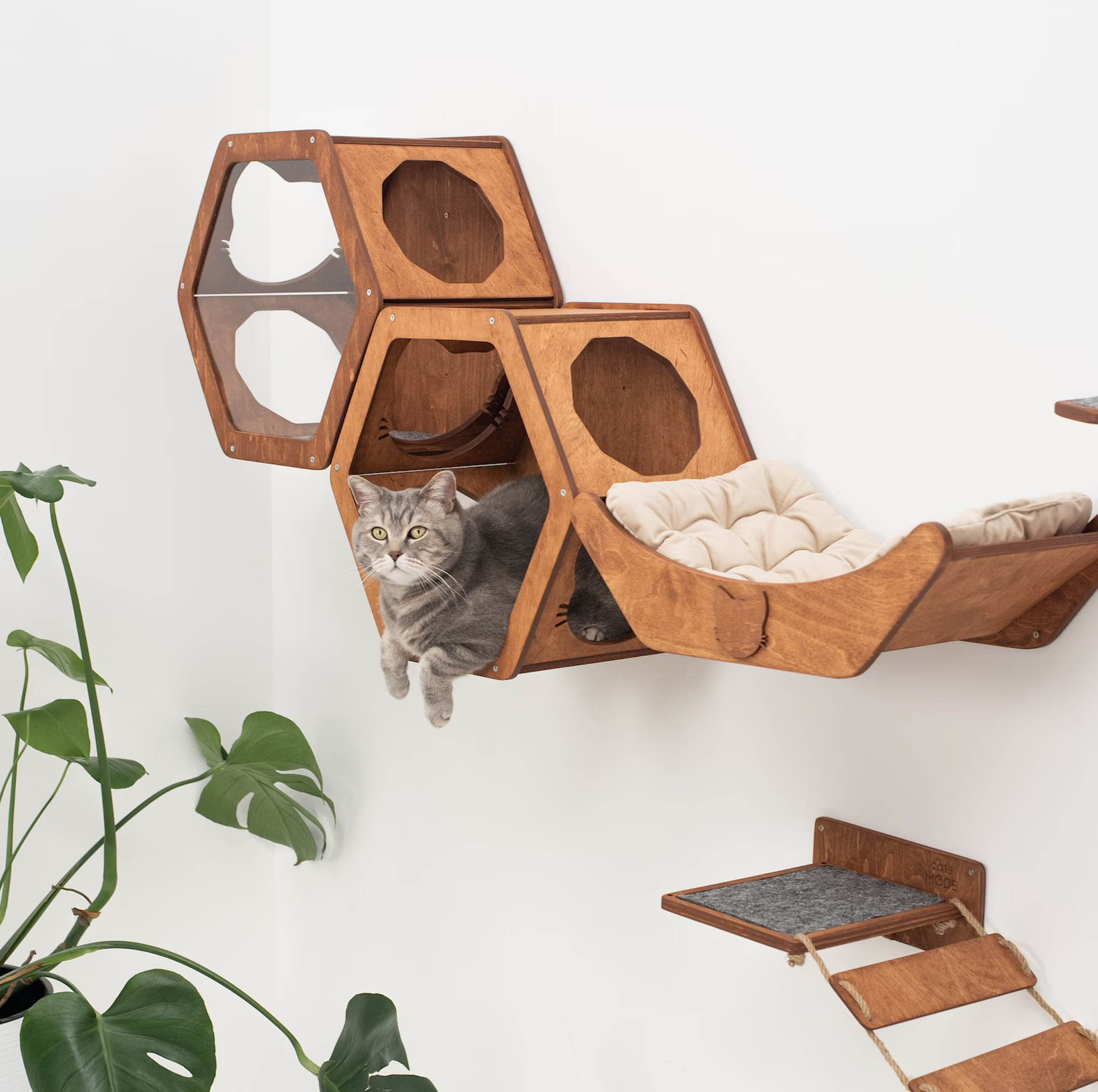 27 Things That Will Make You Feel Like The Best Cat Parent Ever