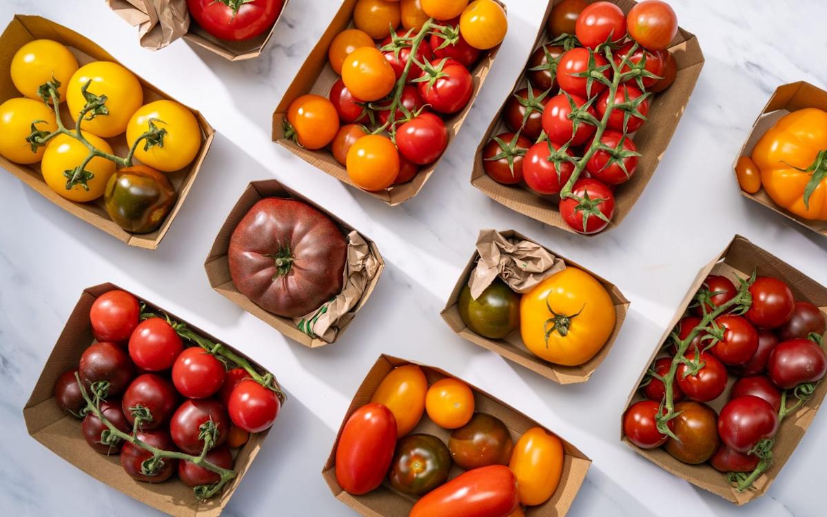 Take your tomatoes out of the fridge: this is the best way to store them