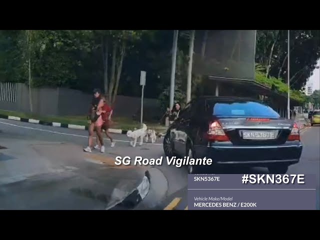 bukit timah road mercedes fail to give way to pedestrians