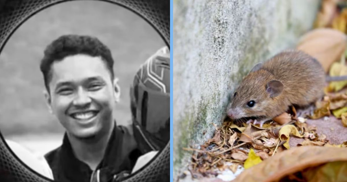 Malaysian Man Dies from ‘Rat Urine Disease’ After Allegedly Drinking from Unwashed Canned Beverage