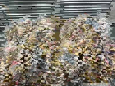 AKPS foils bid to smuggle 200kg of undeclared agro produce