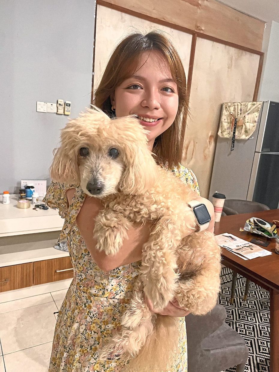 Dog Talk: Why do dogs fear trucks, thunder, and fireworks? A Malaysian vet explains