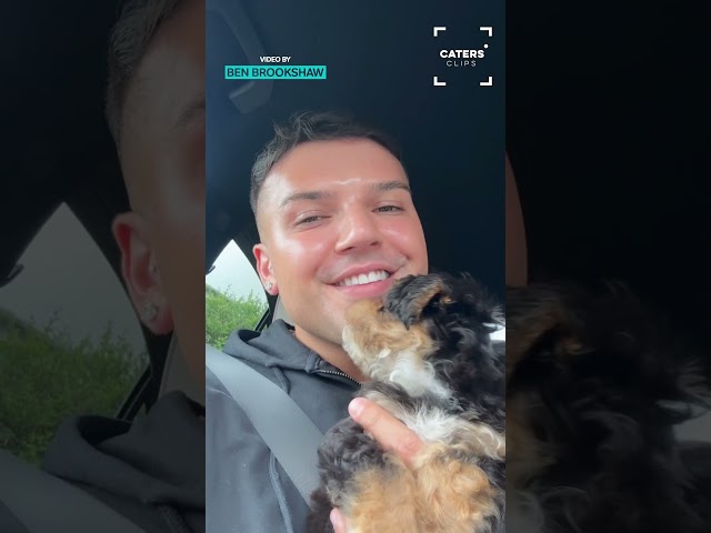 Surprising Mum With Her Dream Dog