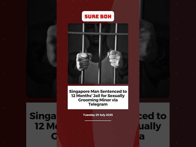 Singapore Man Sentenced to 12 Months' Jail for Sexually Grooming Minor via Telegram