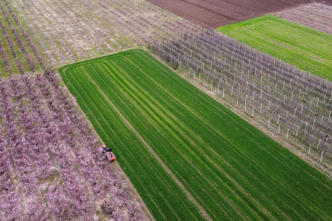 Greek parliament set to probe agency linked to EU farm-aid fraud