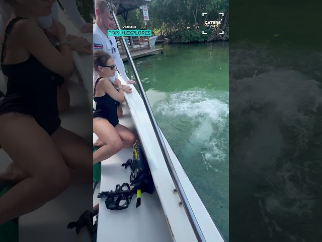 Fish Bite