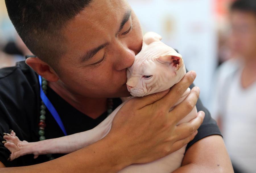 A profound life lesson from our pets — love and letting go