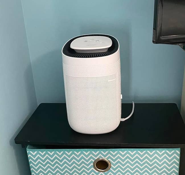 28 Things That’ll Make Working From Home A Little More Bearable