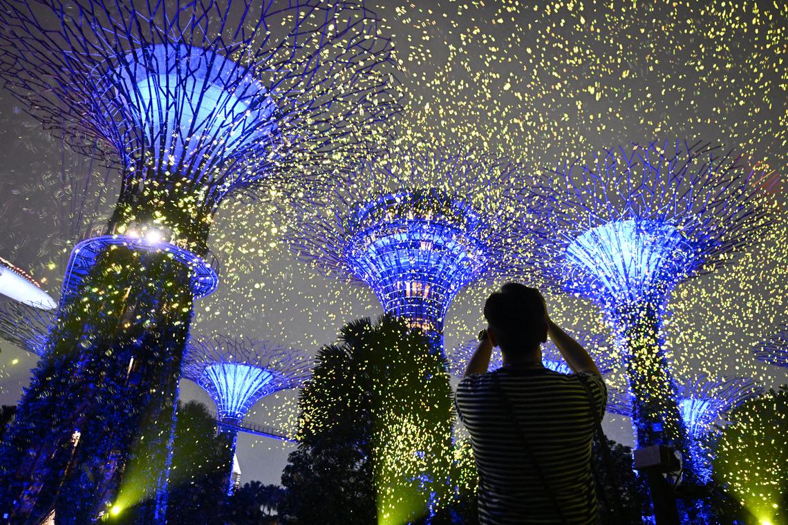 Firefly-inspired light show at Gardens By The Bay’s Supertree Grove