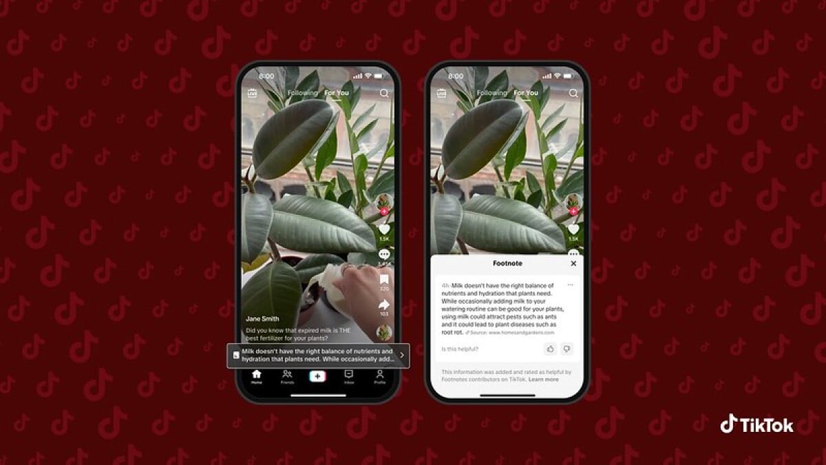 TikTok introduces Community Notes in the form of Footnotes, a new fact-checking tool