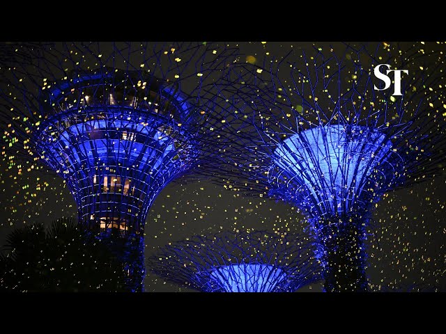 Firefly-inspired show lights up Gardens by the Bay