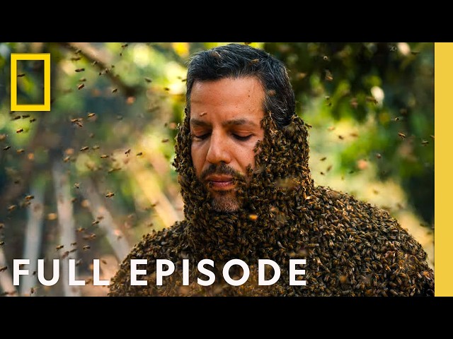 What's Freakier than Venom & Illusion? David Blaine Investigates! | FULL EPISODE | Nat Geo